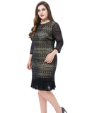 Chicwe Women's Contrast Lined Plus Size Lace Dress with Pleated Hem US16-26