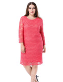 Chicwe Women's Lined Plus Size Lace Dress 3/4 Sleeves US16-26