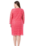 Chicwe Women's Lined Plus Size Lace Dress 3/4 Sleeves US16-26