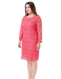 Chicwe Women's Lined Plus Size Lace Dress 3/4 Sleeves US16-26